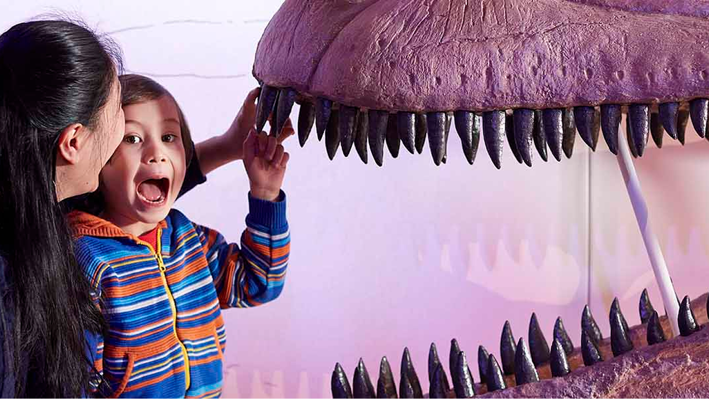 Homo Sapiens Revealed: Our 300,000-Year Journey to 8 Billion